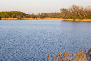 Mehr über den Artikel erfahren Versachlichung der Kontroverse um die Wasserentnahme aus dem Hufeisensee
