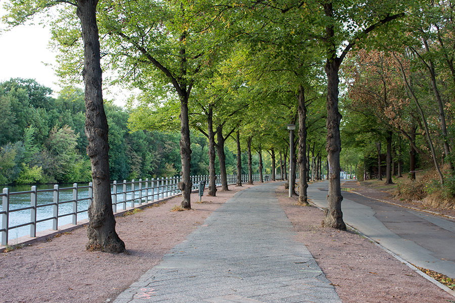 Alleeweg am Riveufer im Sommer ohne Menschen.