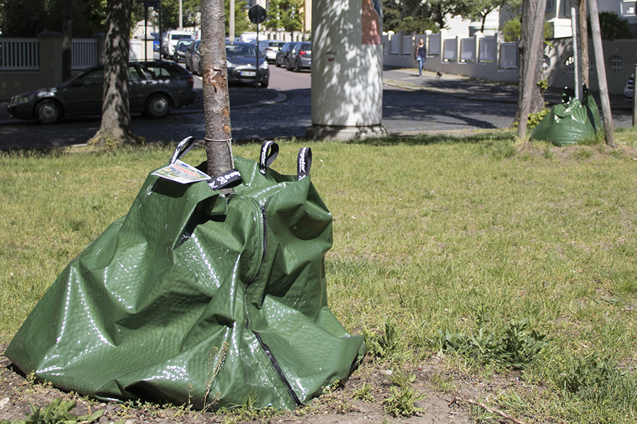 Zu sehen ist ein Wassersack zur Bewässerung eines Jungbaumes in der Stadt.